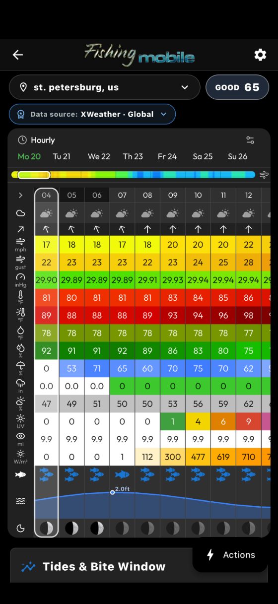 The hourly grid