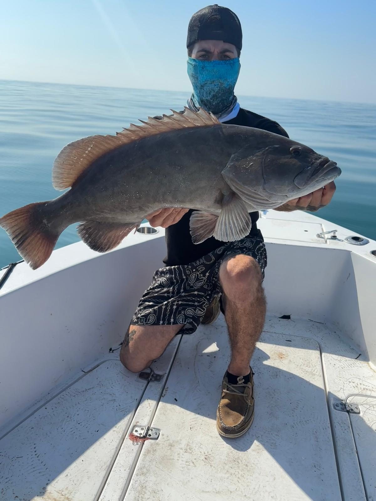 A member kneeling with a gag grouper on deck