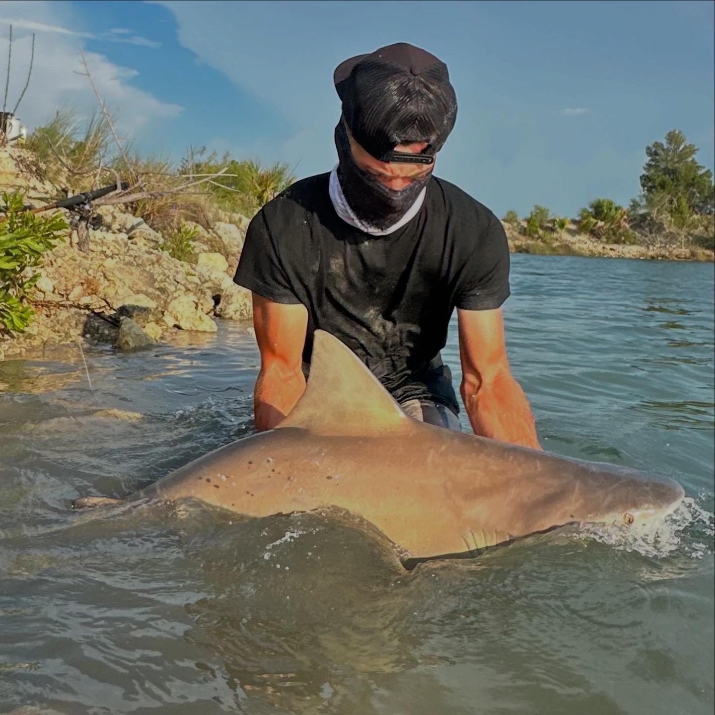 Releasing a fish in first light